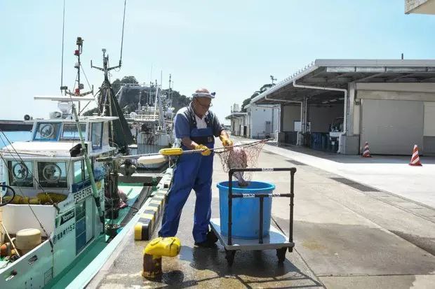日本今天排核污水，福岛渔民哭了，再也没人买他们的鱼了