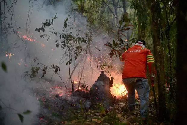墨西哥新一轮林火已造成至少4人死亡