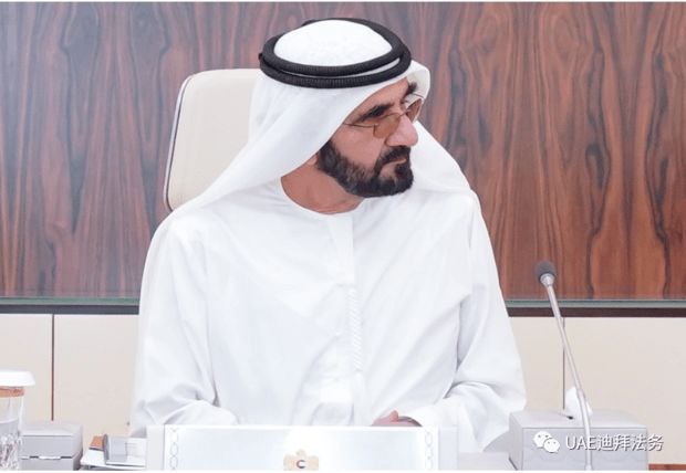 阿联酋两大港务集团业务持续扩张迪拜环球港务今年扩能300万标箱